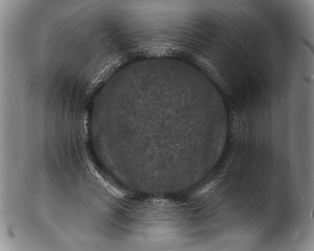 X0000102220590200808081318