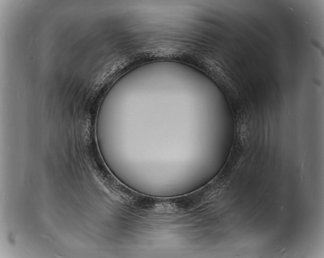 X0000102220591200808081318