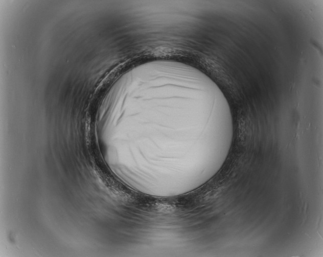 X0000102220592200808081318