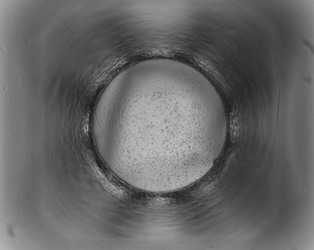 X0000102220593200808081318