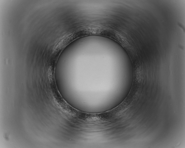 X0000102220594200808081318