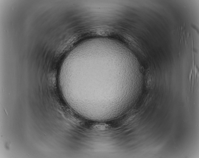 X0000102220595200808081318