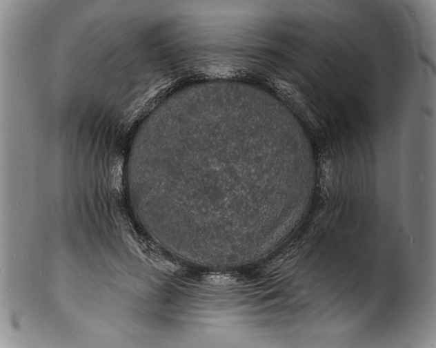 X0000102220596200808081318