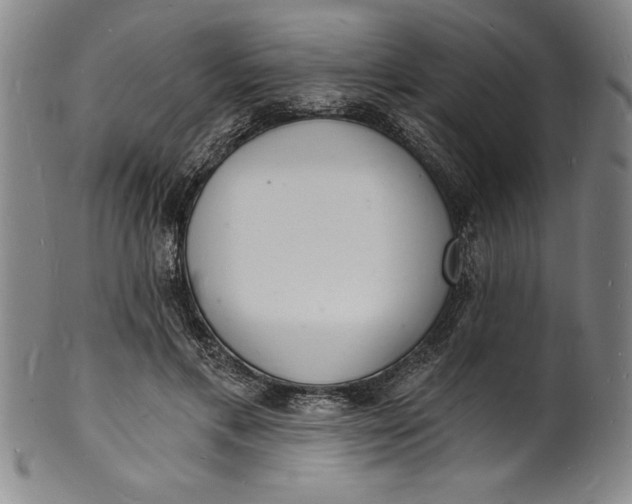 X0000102220597200808081318