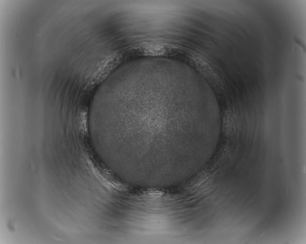 X0000102220598200808081318