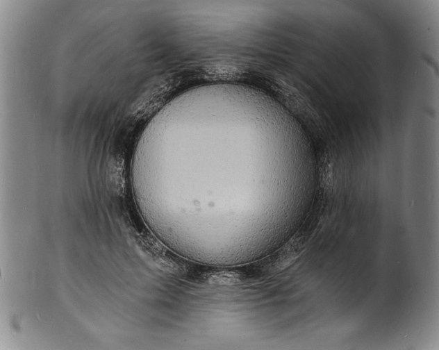 X0000102220599200808081318