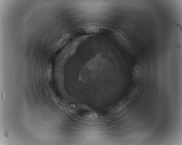 X0000102220600200808081318