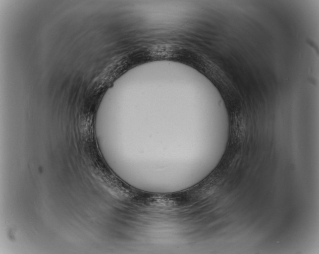 X0000102220601200808081318