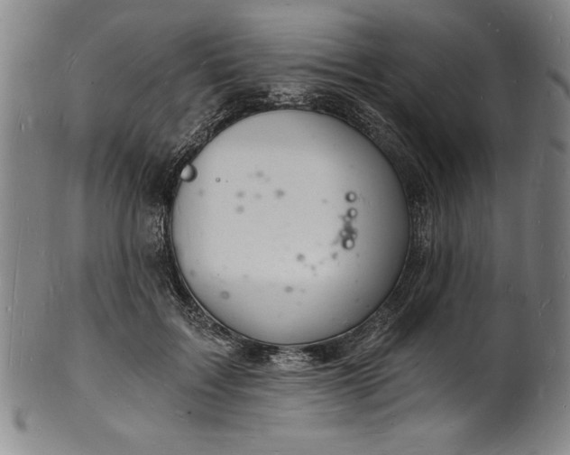 X0000102220603200808081318