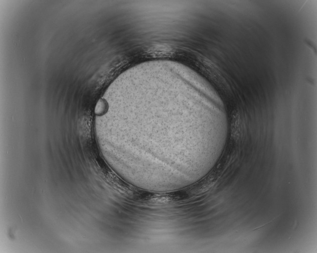 X0000102220604200808081318