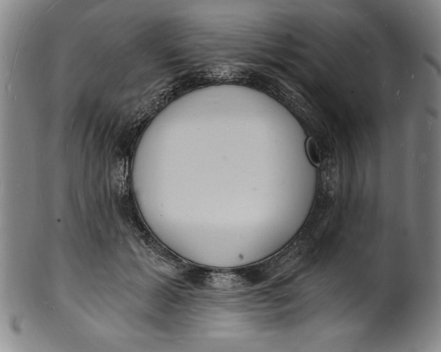 X0000102220605200808081318