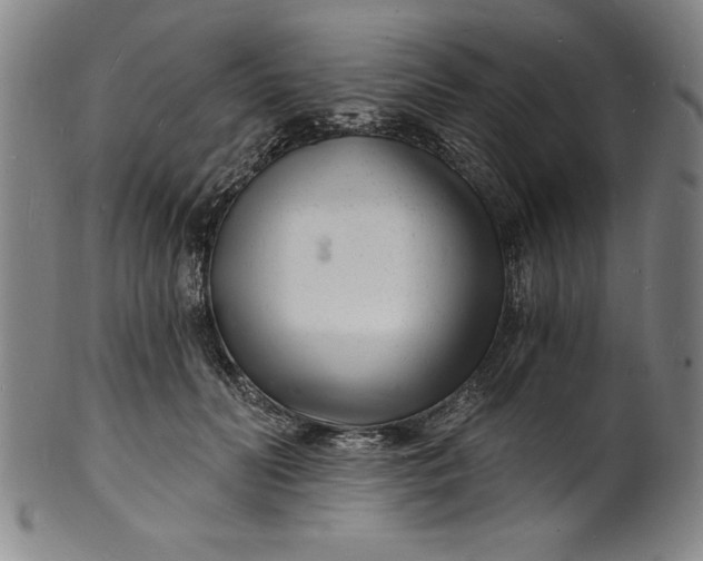 X0000102220606200808081318