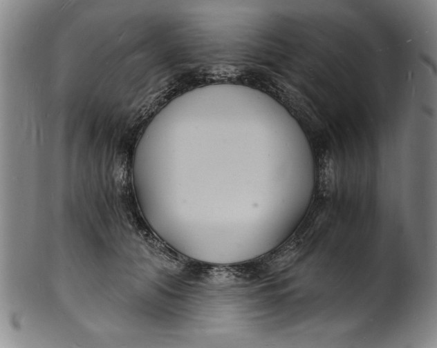 X0000102220608200808081318