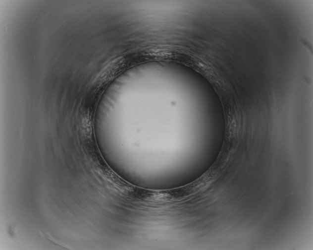 X0000102220609200808081318