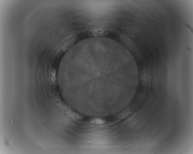 X0000102220610200808081318