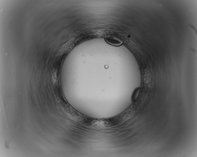 X0000102220611200808081318