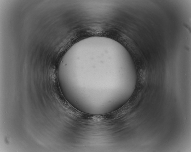 X0000102220612200808081318