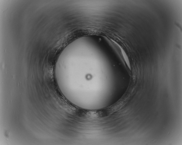 X0000102220613200808081318