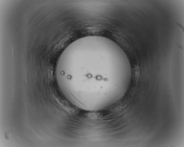 X0000102220615200808081318