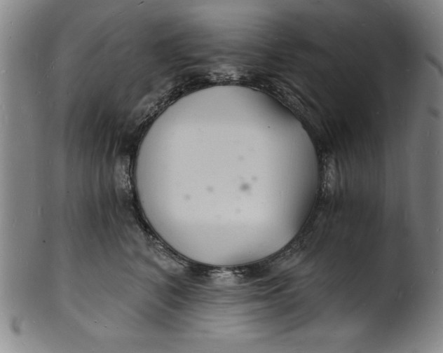 X0000102220616200808081318