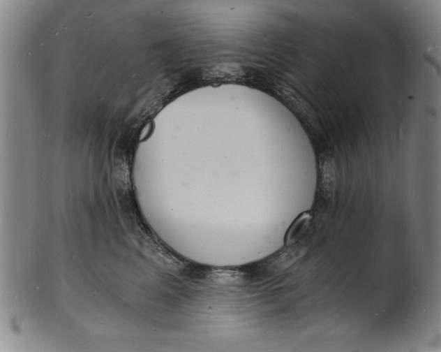 X0000102220617200808081318