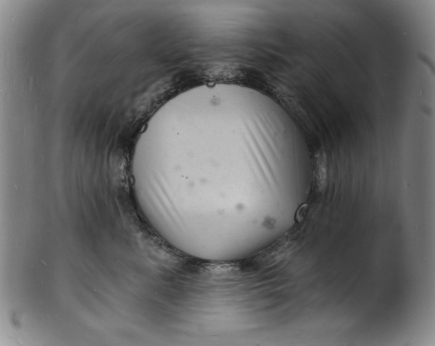 X0000102220619200808081318