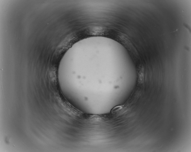 X0000102220620200808081318