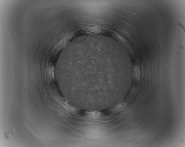 X0000102220621200808081318