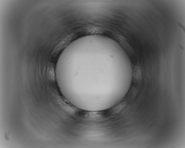 X0000102220622200808081318