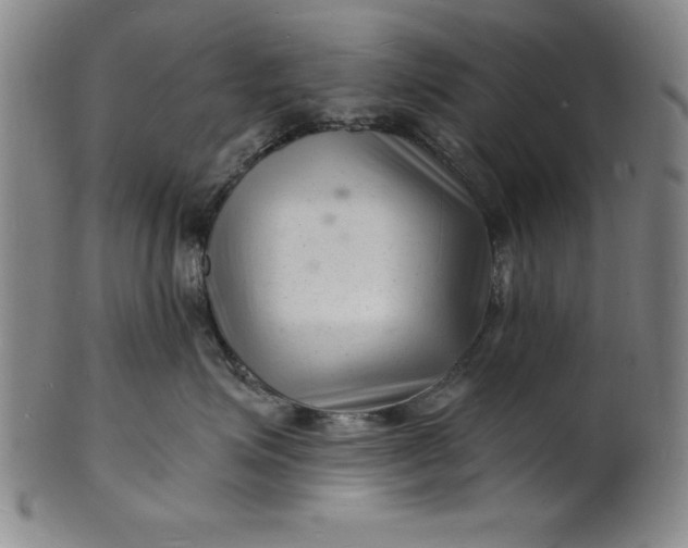 X0000102220623200808081318