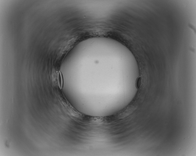 X0000102220624200808081318