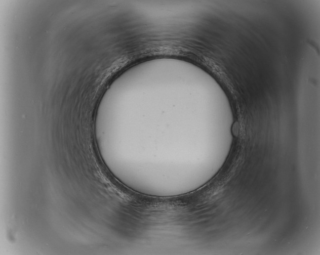 X0000102220625200808081317