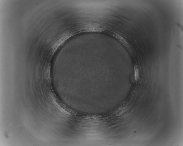 X0000102220627200808081317