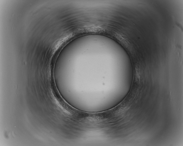 X0000102220630200808081317