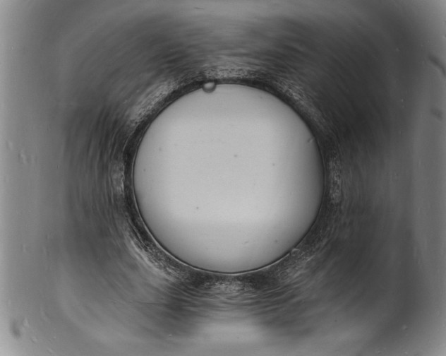 X0000102220631200808081317