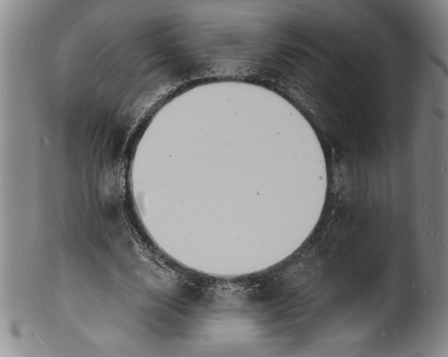 X0000102220632200808081317