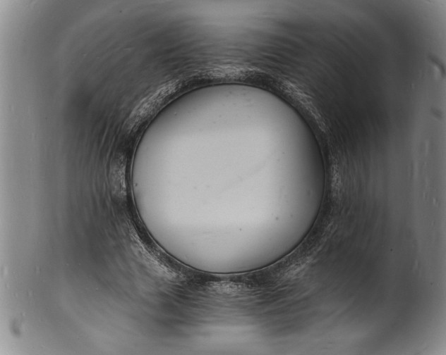 X0000102220633200808081317