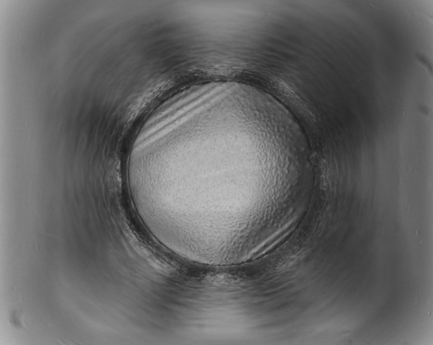 X0000102220634200808081317