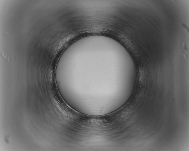 X0000102220636200808081317