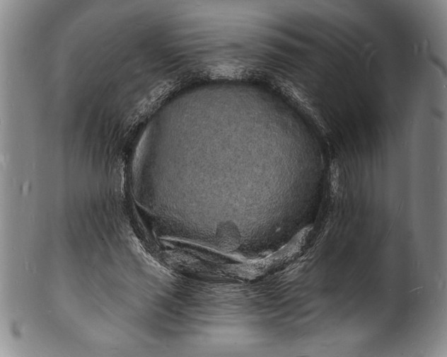 X0000102220637200808081317