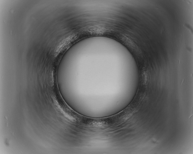 X0000102220638200808081317