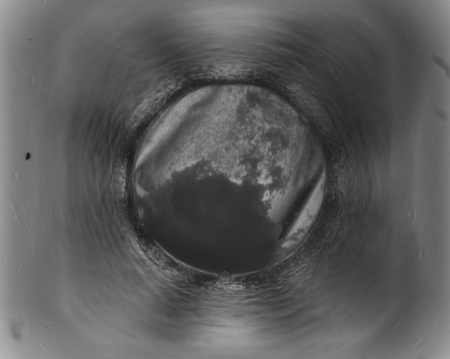 X0000102220640200808081317