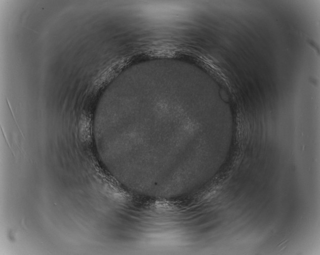 X0000102220641200808081317