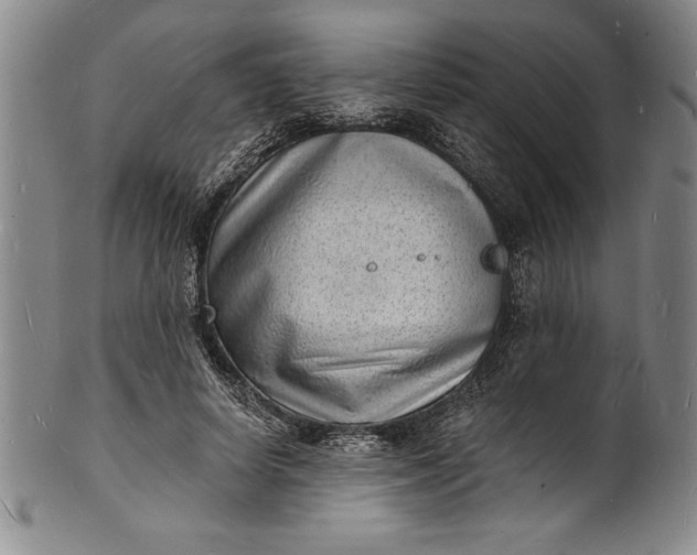 X0000102220642200808081317