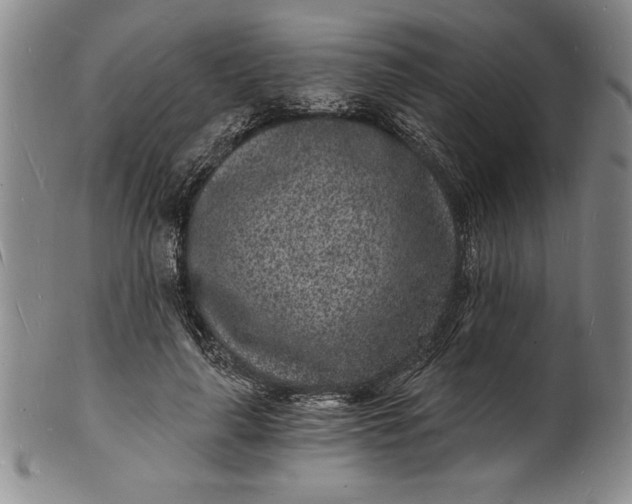 X0000102220643200808081317