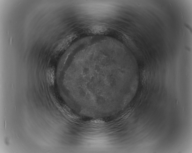 X0000102220644200808081317