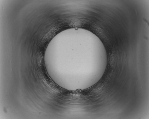 X0000102220645200808081317