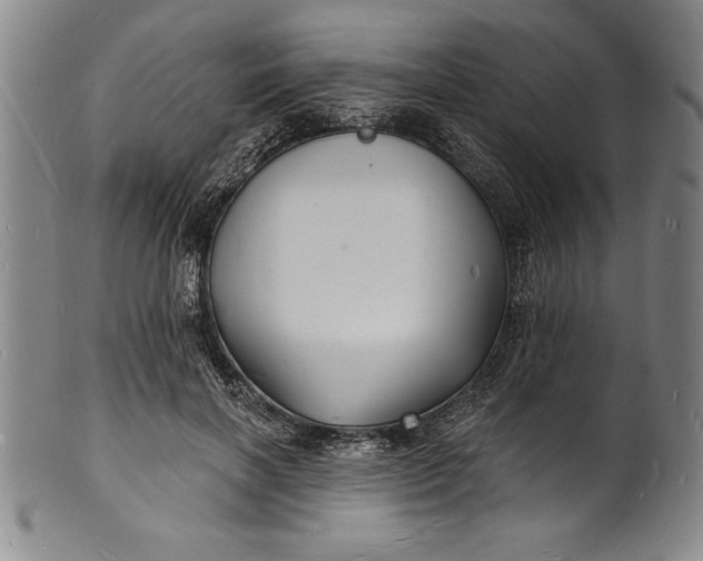 X0000102220646200808081317