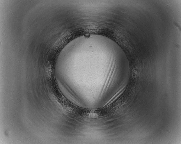 X0000102220647200808081317