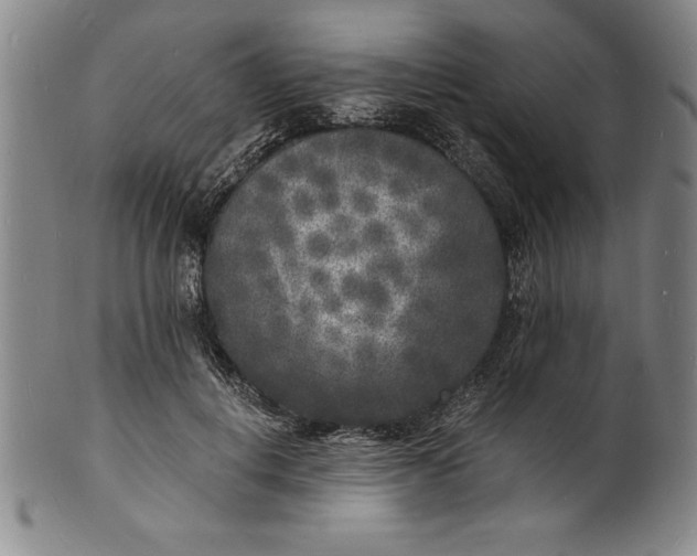 X0000102220648200808081317